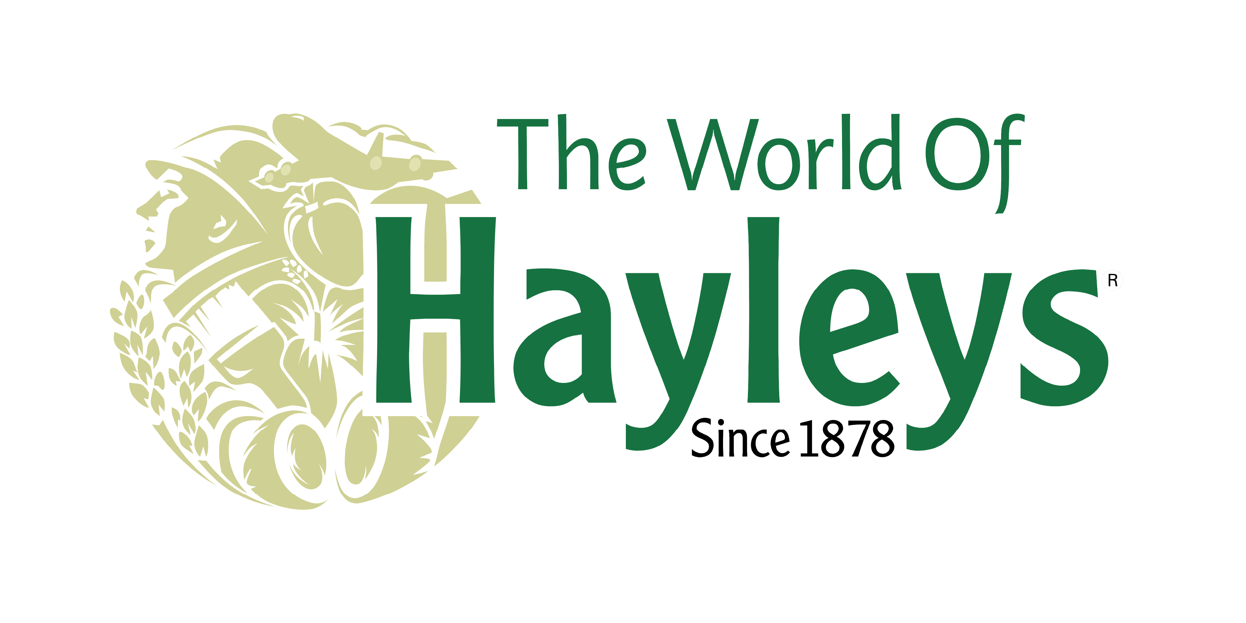 Hayleys